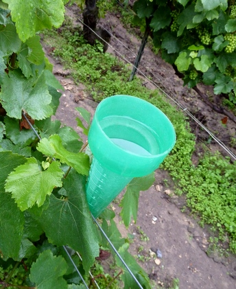 Orage de grêle en Champagne 2011